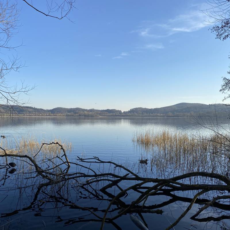 Vulkan Waldfrieden, Wassenach