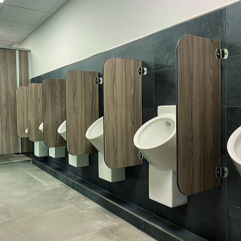 Schamwände wandhängend